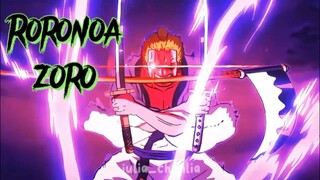 Roronoa Zoro, Sang Sayap Kapten Luffy