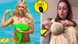 Random Funny Videos |Try Not To Laugh Compilation | Cute People And Animals Doing Funny Things #P38