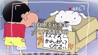 小白很幸运来到一个友善的家庭
