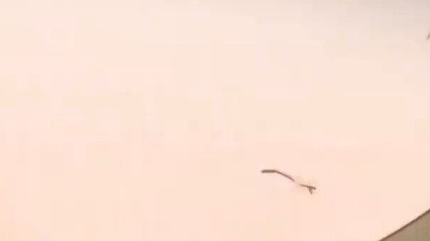 Saya ingin pergi ke Universitas Shandong.mp4