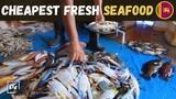 斯里兰卡海边新鲜海鲜市场 | Seaside FRESH Seafood Market Sri Lanka