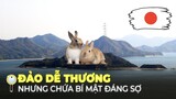 ĐẢO DỄ THƯƠNG NHẤT NHẬT BẢN NHƯNG ẨN CHỨA BÍ MẬT KINH HOÀNG