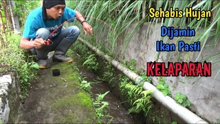 Mancing Nila Sehabis Hujan Di Selokan || DIJAMIN BANYAK STRIKE!!