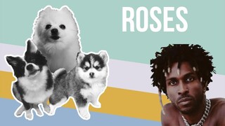 Roses but it's Doggos and Gabe