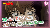 [Thám Tử Conan/HD] Cắt đoạn Ai Haibara tập 476-488  (Phần 7/Những bức ảnh đen đã đi đâu?)_1