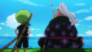Zoro Past👀 | One Piece 1060