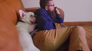 Cute Dog Won't Leave Their Human Alone - Cute Animal Show Love