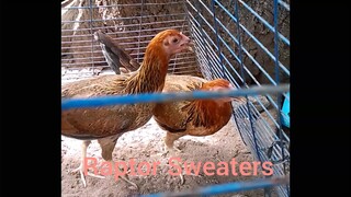 breeding materials