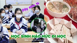 Học sinh háo hức đi học trở lại - Top comments FB.