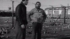 Stalag 17 (B&W) (Subs)