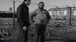 Stalag 17 (B&W) (Subs)