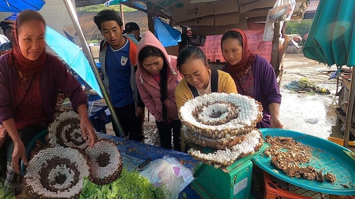 เที่ยวสปป.ลาว EP14.เลาะตลาดเช้าเมืองอะนุวง ปิ้งปลาทาน้ำแจ่ว กินข้าวป่าวังน้ำเขียว ไซสมบูน