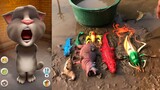 Mèo Tom vệ sinh các con vật: con cá sấu - con cá mập - con cá heo - con hà mã - con tom - con cua