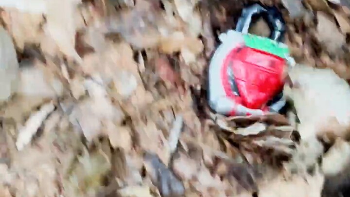 [Kamen Rider] Menanam stroberi di Hutan Bandai...benar-benar bisa mendapatkan Ichigo Kurosaki!