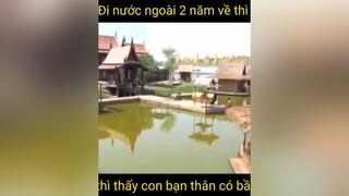 Đi nước ngoài 2 năm về nhưng ko hề biết bạn thân mình đã lập gia đình reviewphim todaytv nguocdongthoigiandeyeuanh