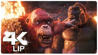 Kong Vs Skar King - Fight Scene | GODZILLA X KONG THE NEW EMPIRE (NEW 2024) Movie CLIP 4K