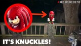 KNUCKLES CAPTURED ON VIDEO IN REAL LIFE! *Sonic the Hedgehog 2*