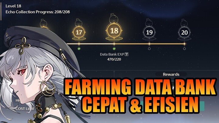 Cara Cepat & Efisien Menaikan Level Data Bank | Wuthering Waves