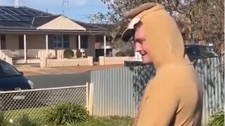 An Australian netizen bought a kangaroo suit and finally got a little kangaroo.