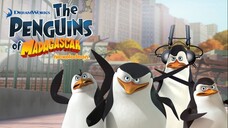 Penguins of Madagascar เพนกวินจอมป่วน ก๊วนมาดากัสการ์ HD พากย์ไทย