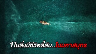 1ในสิ่งมีชีวิตที่..มนุษย์ไม่สามารถเอาชนะได้ (สปอยหนัง)