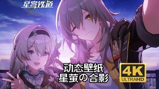 [Firefly Live Wallpaper] Star Firefly Photo Firefly X Star Wallpaper Honkai Impact Star Dome Railway