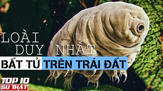 10 Loài Động Vật Sở Hữu NĂNG LỰC SIÊU NHIÊN Mà Con Người Vẫn Mơ Ước ➤ Top 10 Sự Thật Thú Vị