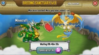 Dragon City ss3 #28 : Lai Hai Rồng Heoric Lấy Một Rồng Huyền Thoại ??