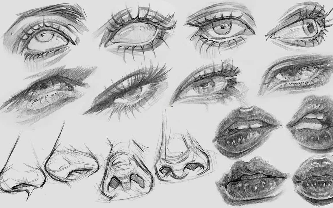Hội họa]Hướng dẫn cách vẽ mắt, mũi, môi từ mọi góc độ - Bilibili