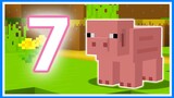 7 เรื่องน่ารู้เกี่ยวกับหมู (Pig) ในเกม Minecraft (Re Upload)