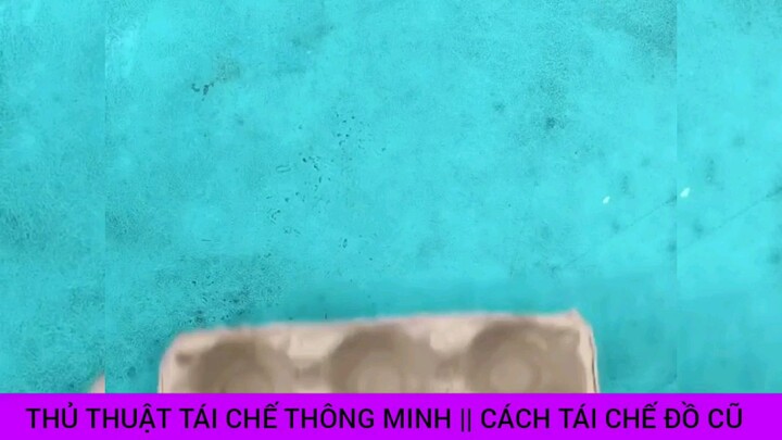 thủ thuật tái chế Thông Minh