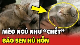 Hoàng Thượng BÁO làm Sen hú hồn vì nết NGỦ NHƯ CHẾT của mình 😂 | Yêu Lu