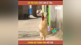 Gà yêu  🐶  😁😁 MeReviewPhim nnt_review reviewphimhay LearnOnTiktok