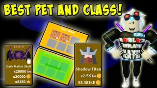 GOT THE NEW CLASS AND 2 BEST PETS IN SABER SIMULATOR LATEST UPDATE