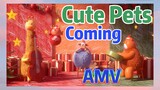 Cute Pets Coming AMV