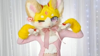全网最晚跳Magnetic的大猫猫❤