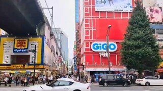 Akihabara Electric Town