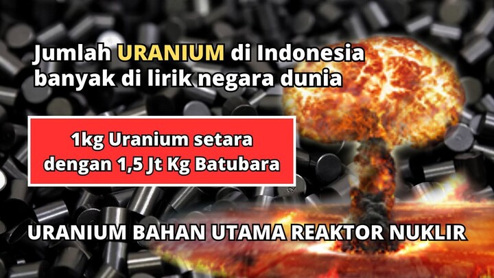 Jumlah URANIUM di Indonesia Banyak dilirik Negara Dunia #bstation