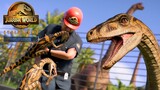 Segisaurus Attack 🦖 Jurassic World Evolution 2 - Tales From Isla Sorna [4K]