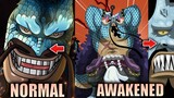 Did Kaido Awaken his Devil Fruit? w/ @Syv / One Piece