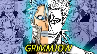 Grimmjow Jaegerjaquez: THE REBEL - BLEACH: Character Analysis