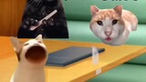 【Cat meme】The story of a cat family eating out