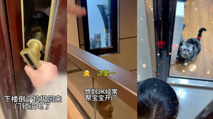 母子俩回家时门锁没电进不去，萌娃和猫咪“里应外合”完美配合