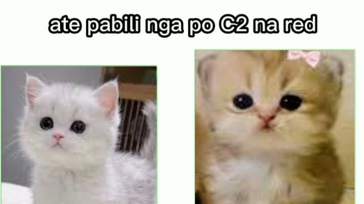 ate pabili nga po c2 na red Wala ng red green nalang