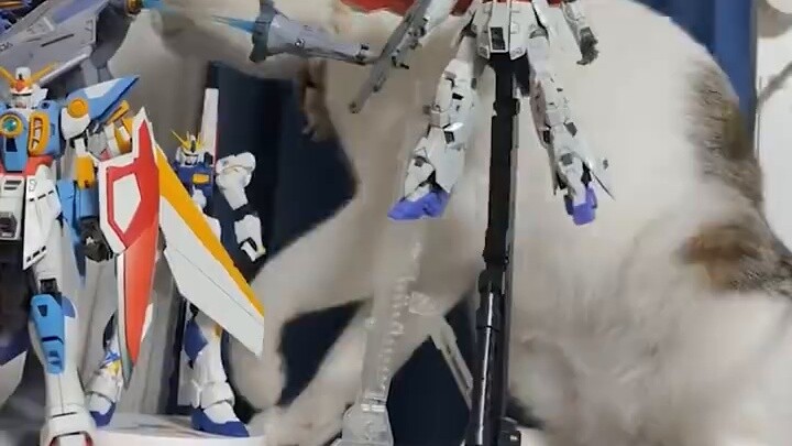 Gundam Gel Guy: อย่ารอช้า เพราะตอนนี้สีแดงและอุ่นแล้ว