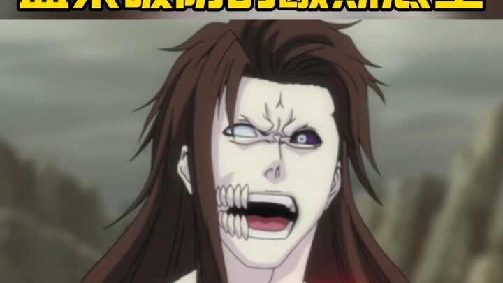 The ultimate insult after Aizen's defense is broken!!
