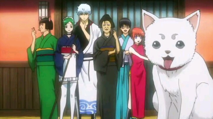 (Gintama) Mối tình của Gintoki và Kodama!