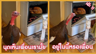 รวมคลิปตลก: นุดเห็นเพื่อนเราไหมอ่ะ??