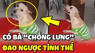 Đang BỊ PHẠT chú chó ĐẢO NGƯỢC TÌNH THẾ khi có bà CHỐNG LƯNG 😂 | Yêu Lu