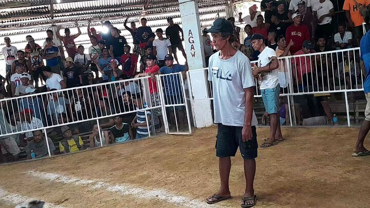 banogon!